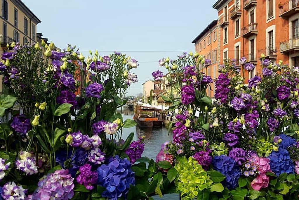 fiori e sapori naviglio grande