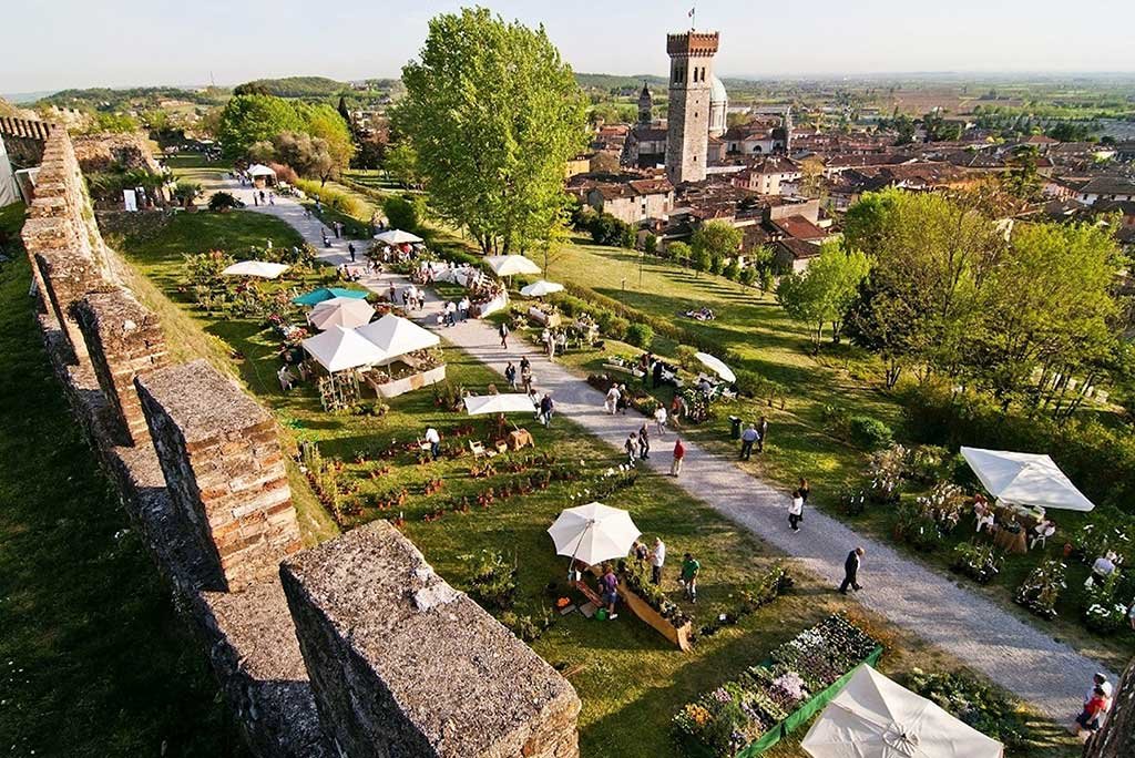 fiori nella rocca