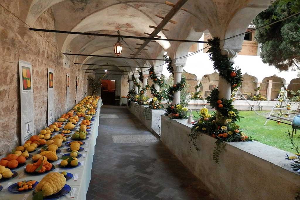 giardini di agrumi manifestazione verde