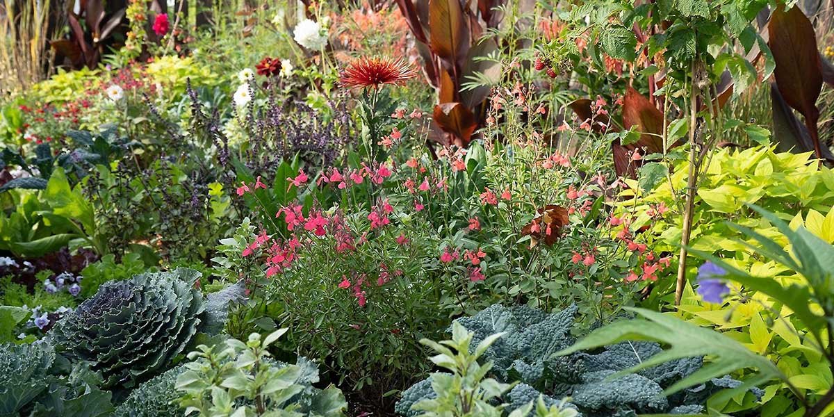 giardino fiorito
