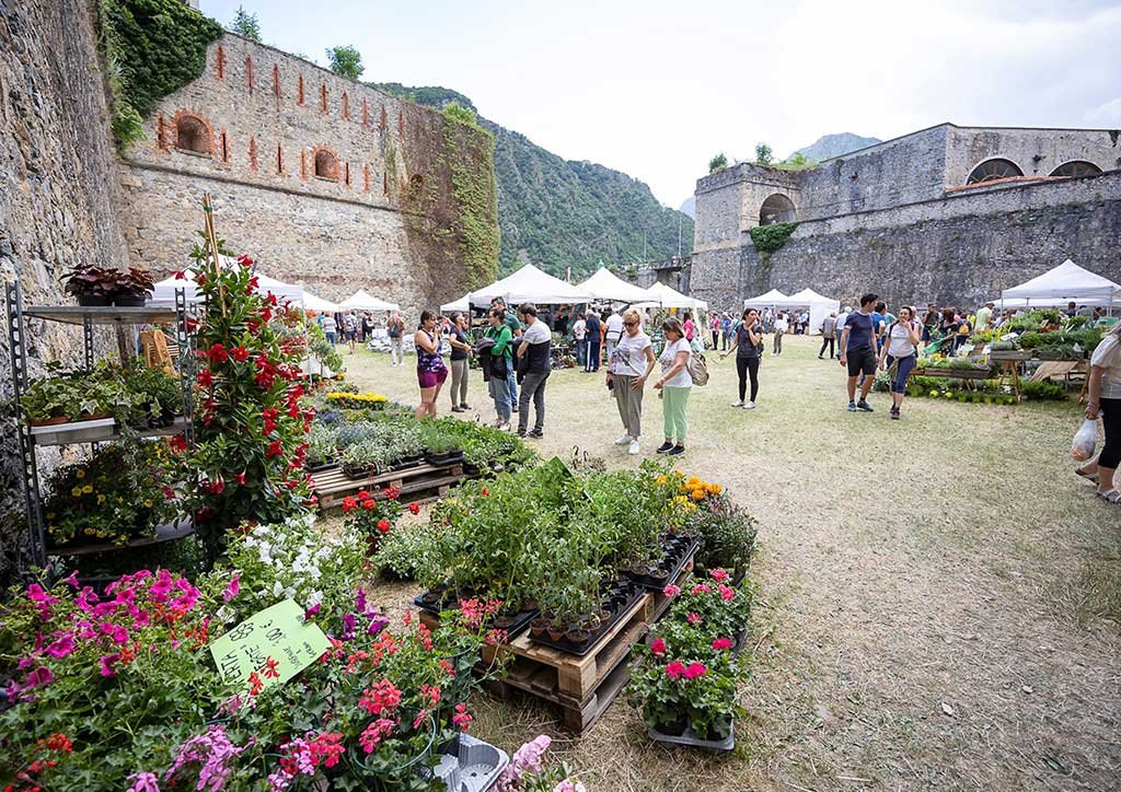 forte vinadio