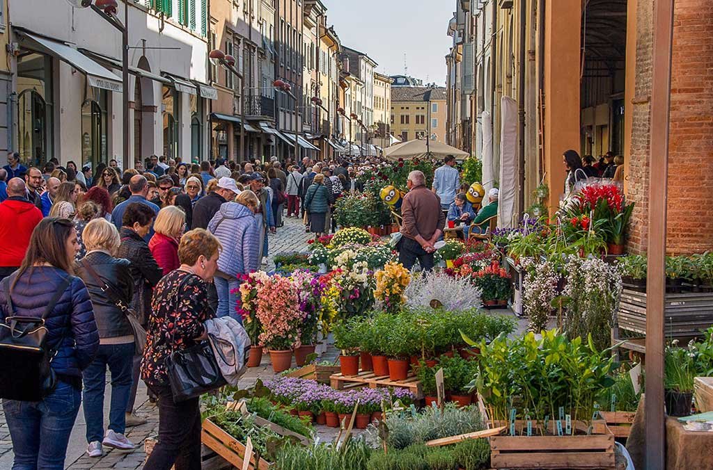 carpi in fiore