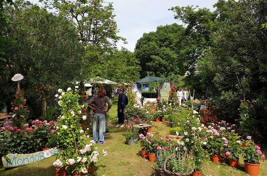 firenze flower show