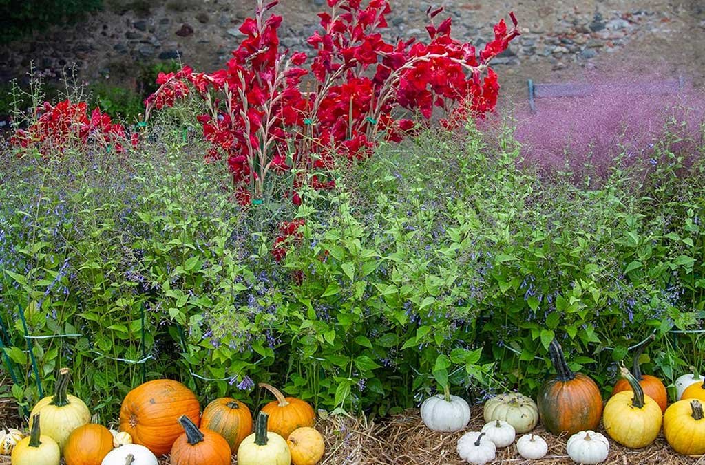 tre giorni per il giardino