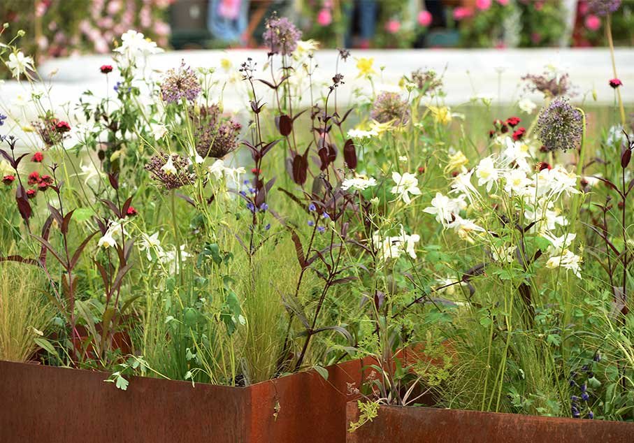 fiori orticola