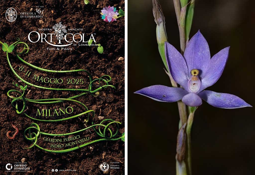 manifesto-orticola-e-orchidea