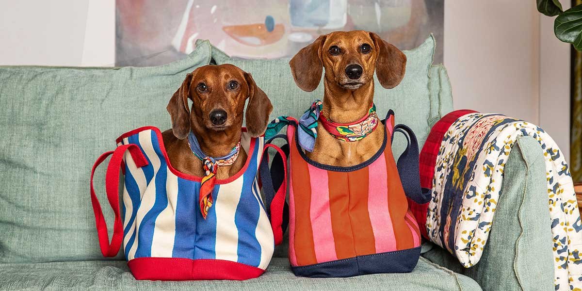 borsa per cani piccoli trasporto