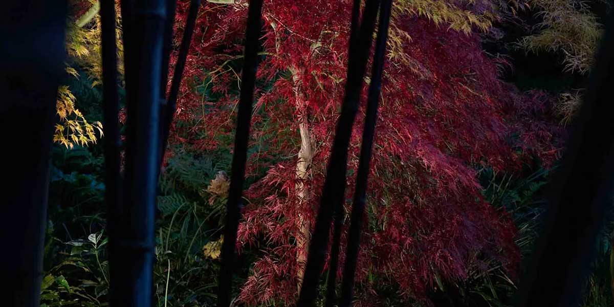 Giardino-Botanico-André-Heller