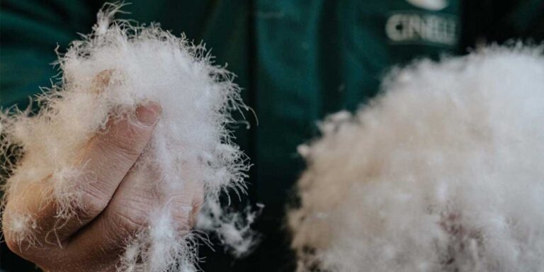 mano che tiene piumino oca