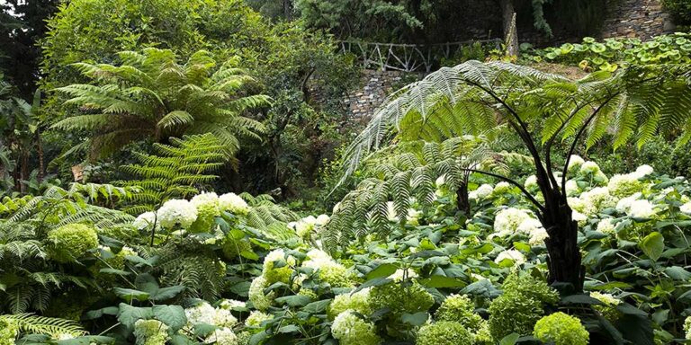 piante-villa-la-pergola