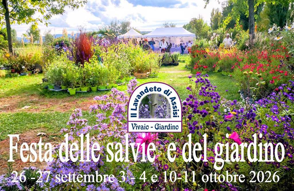 lavandeto-di-assisi-fiera verde salvia e giardino