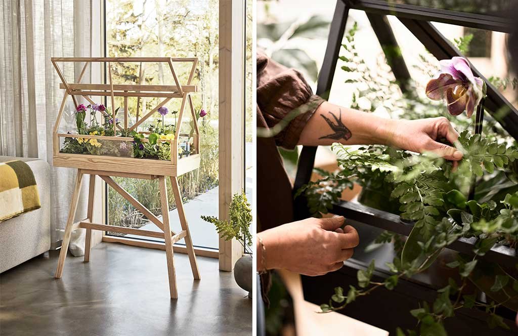 piccola-serra-legno-indoor